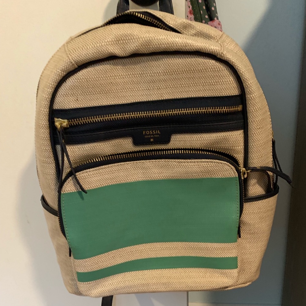 Fossil backpack